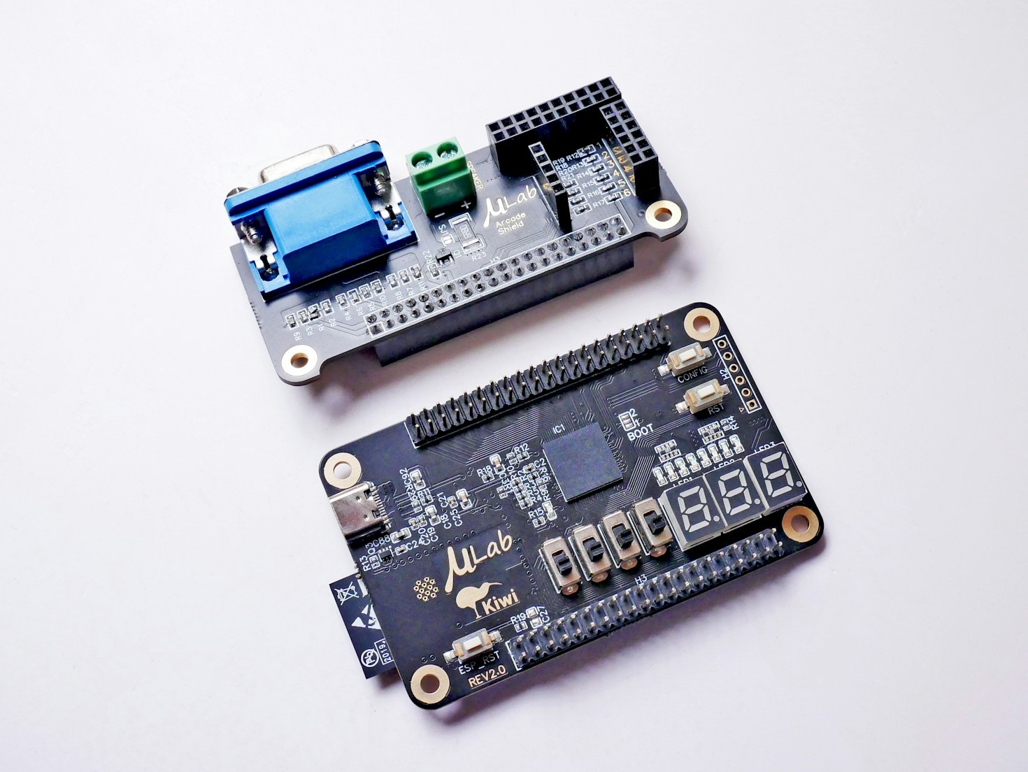 The Journey of a Digital Systems Pioneer